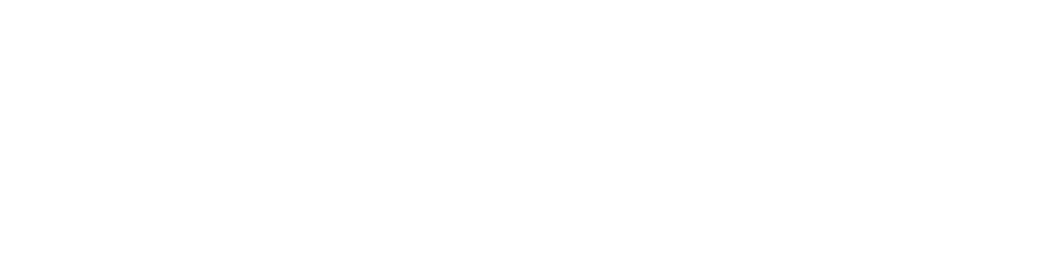 Ave Maria Baseball